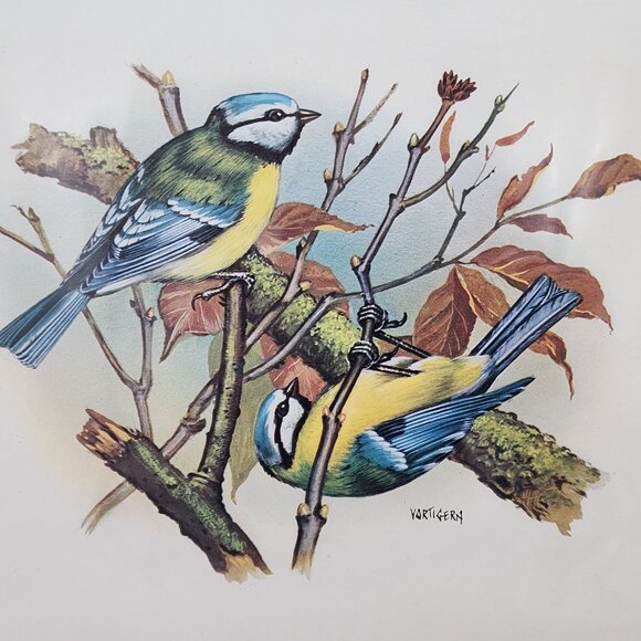 Vintage Framed Bird Illustration by Vortigern Gold Wooden Ornate Frame 13x10" - Picture 2 of 11